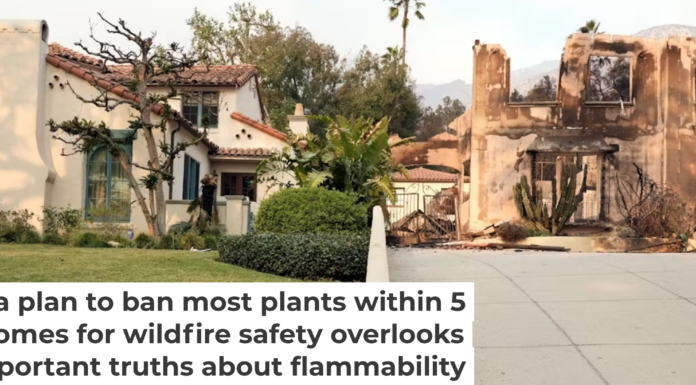 Photos after the Los Angeles fires in January 2025 show many yards where vegetation didn’t burn while neighboring houses did. AP Photo/Chris Pizzello